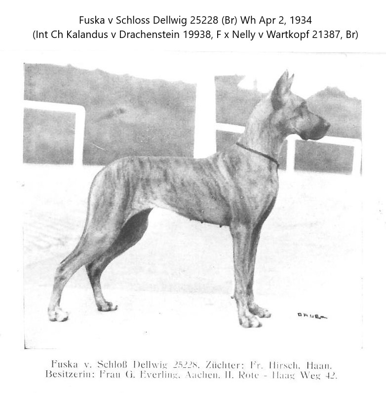 Fuska v Schloss Dellwig